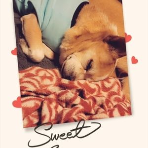 Meet your Posher, Chantal